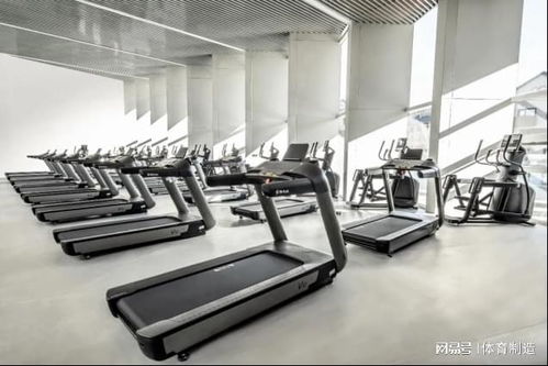 舒華體育 以專業(yè)器材助力冬奧村健身中心，共迎冰雪盛會